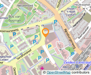 Bekijk kaart van Stichting Vrienden van Rivierduinen in Leiden