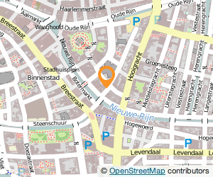 Bekijk kaart van Café 'De Buren'  in Leiden