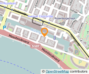 Bekijk kaart van R.M. Spinnewijn  in Rotterdam