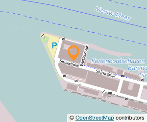 Bekijk kaart van The Offshore Partners B.V.  in Rotterdam