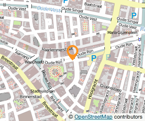 Bekijk kaart van Treinreiswinkel Beheer B.V. in Leiden