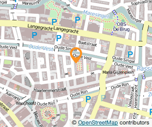 Bekijk kaart van Bob in 't Hout  in Leiden