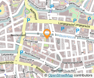 Bekijk kaart van Stichting Programmafonds Leidse Schouwburg in Leiden