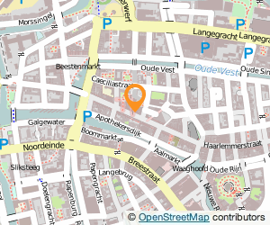 Bekijk kaart van Bennie's Old Things  in Leiden